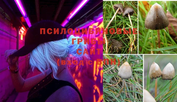 ешки Магас