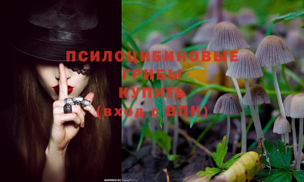 ешки Магас