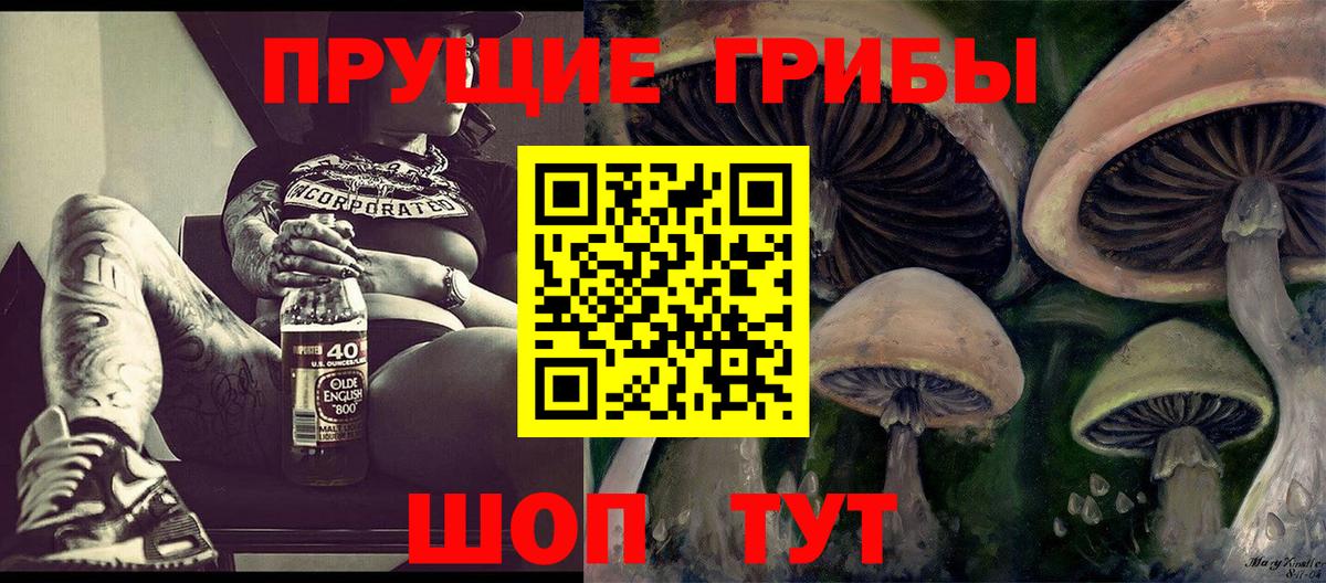 где найти наркотики  Галлюциногенные грибы прущие грибы  Вход с VPN  Малгобек  Псилоцибиновые грибы Psilocybine cubensis 